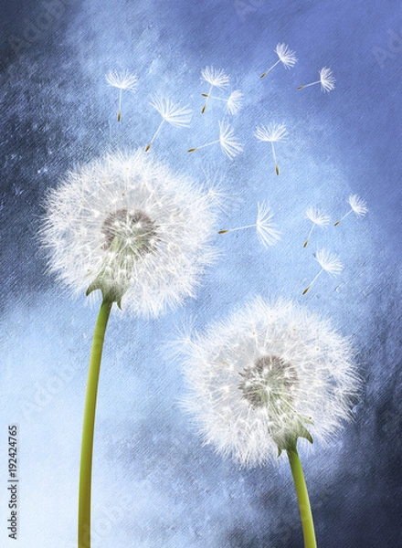 Fototapeta Löwenzahn Blau