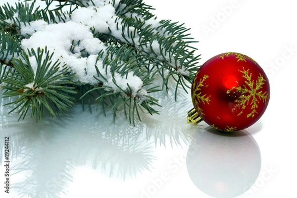 Fototapeta Pine and trinket