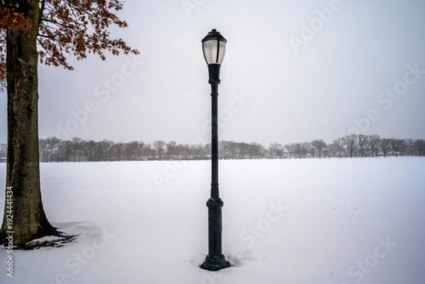 Obraz Brooklyn after the Blizzard