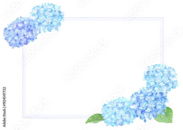Obraz 水彩で描いた雨粒のあるアジサイのフレーム