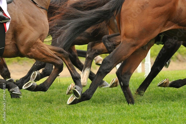 Obraz Horse racing action