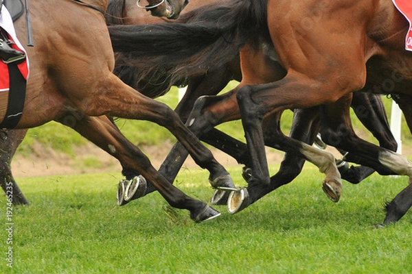Obraz Horse racing action