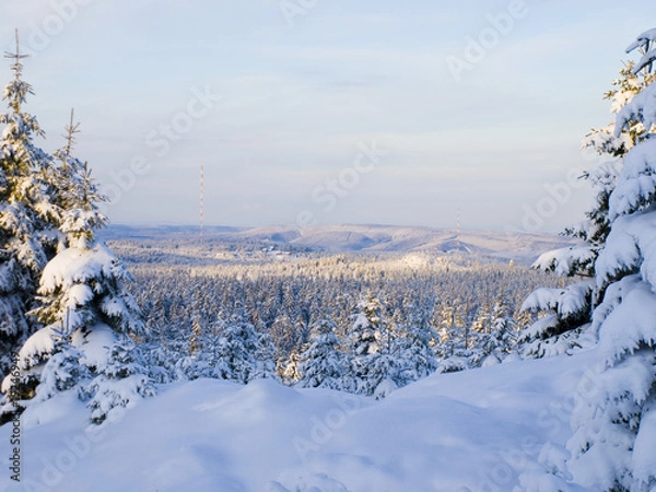 Obraz Verschneite Fichten