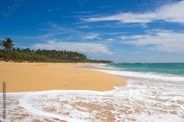 Fototapeta Beautiful beach. View of nice tropical beach with palms around. Holiday and vacation concept. Tropical beach.