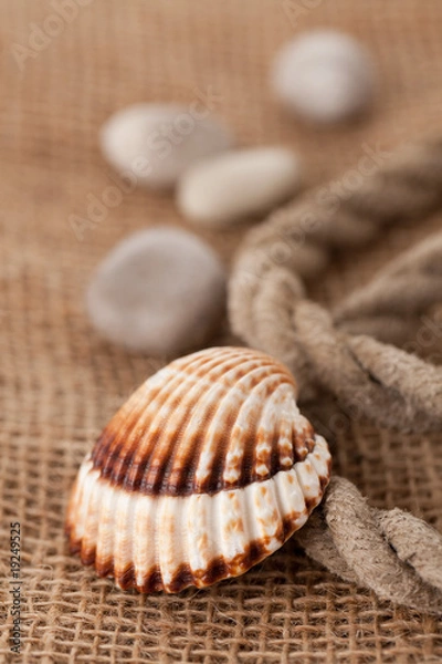 Fototapeta shell laing on jute