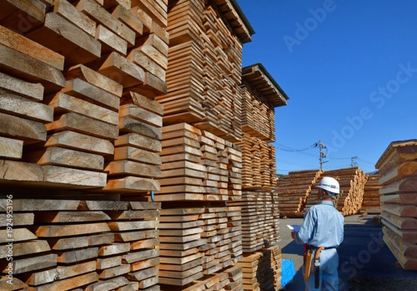 Obraz 木材資源・国産材を管理する