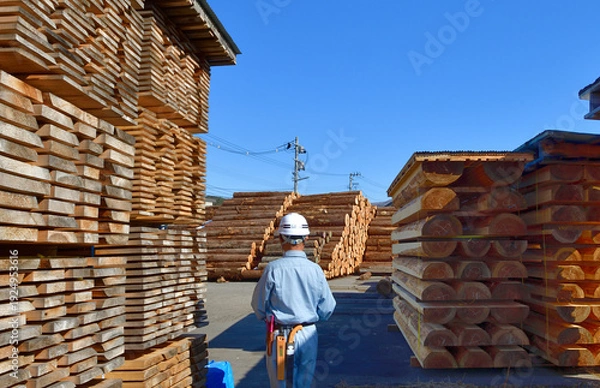 Obraz 木材資源・国産材を管理する