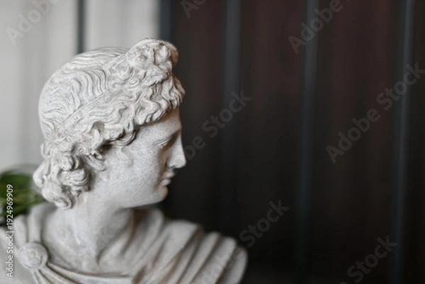 Fototapeta インテリアオブジェ：空間を演出する胸像