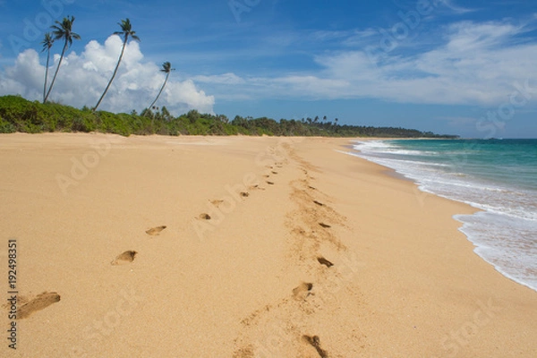 Fototapeta Beautiful beach. View of nice tropical beach with palms around. Holiday and vacation concept. Tropical beach.