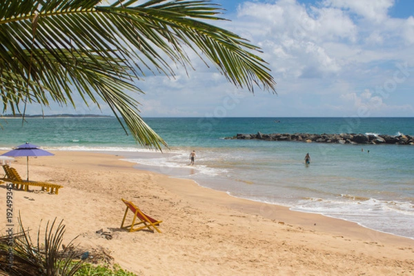 Fototapeta Beautiful beach. View of nice tropical beach with palms around. Holiday and vacation concept. Tropical beach.