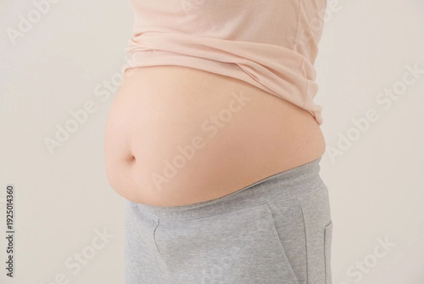 Obraz お腹の脂肪