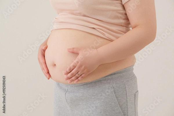 Obraz お腹の脂肪