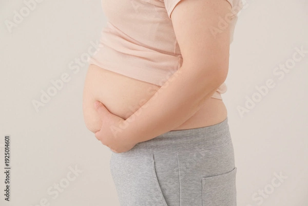 Obraz お腹の脂肪