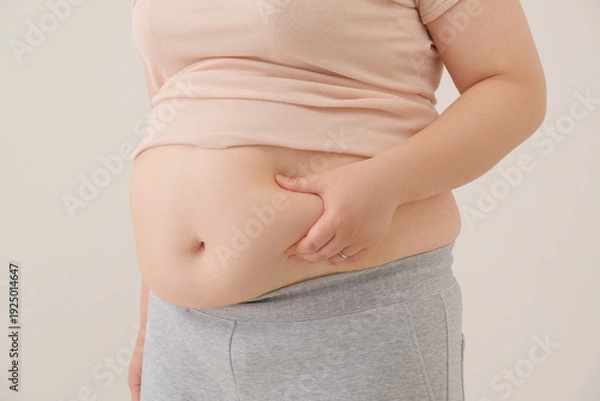 Obraz お腹の脂肪