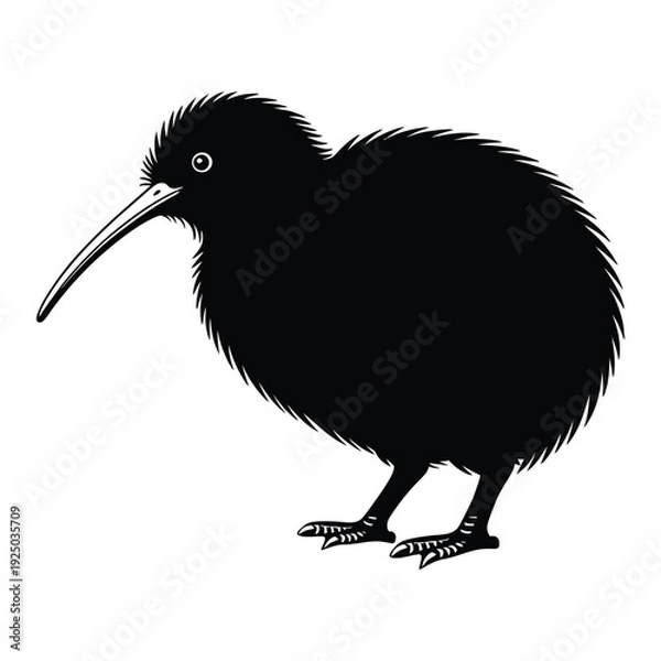 Obraz Kiwi bird standing side view Vector, Silhouette, Illustration