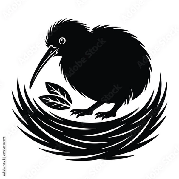 Obraz Kiwi in nesting position Vector, Silhouette, Illustration