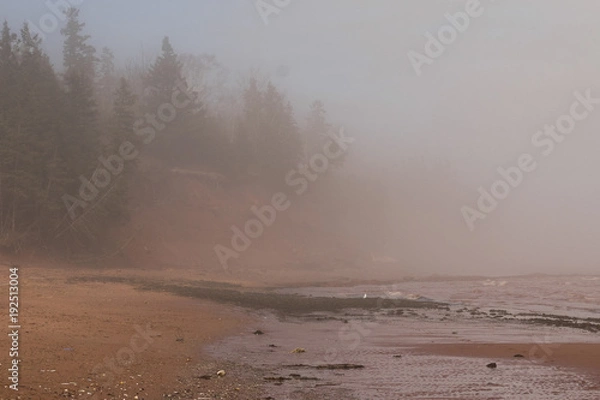 Obraz Fog on the Beach
