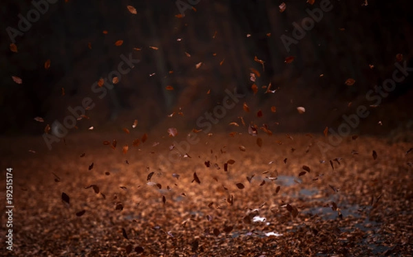 Obraz Leaves falling to the ground