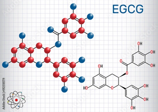 Fototapeta Epigallocatechin gallate (EGCG), is the most abundant catechin in tea. Structural chemical formula and molecule model. Sheet of paper in a cage