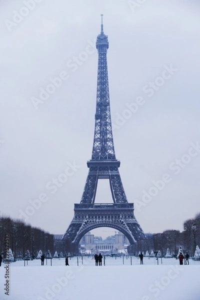 Obraz 2018 Eiffel tower under Snow