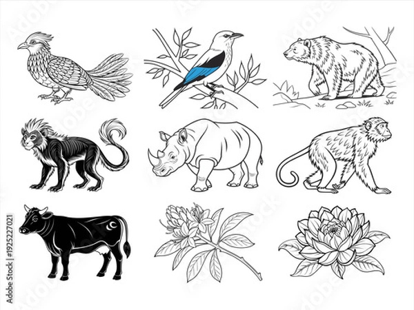 Obraz the animal bird and flower black vector bundle