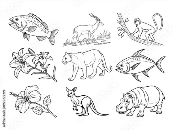 Obraz the animal bird and flower black vector bundle