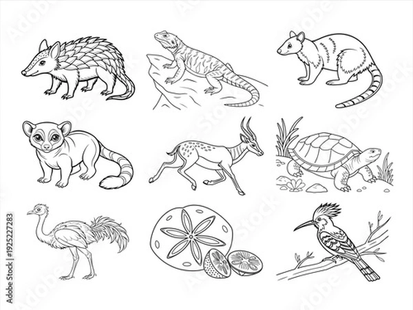 Obraz the animal bird and flower black vector bundle