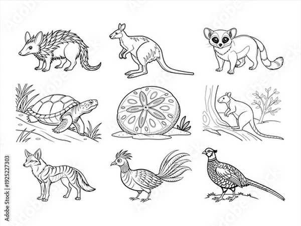 Obraz the animal bird and flower black vector bundle