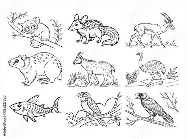 Obraz the animal bird and flower black vector bundle