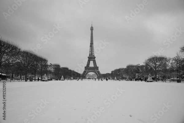 Fototapeta full snow eiffel tower in panorama