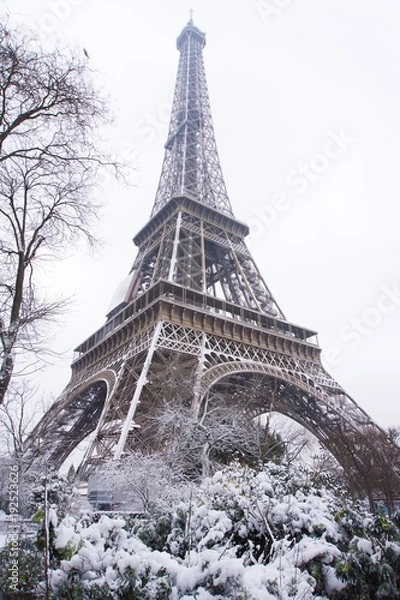 Obraz The eiffel tower perspective view