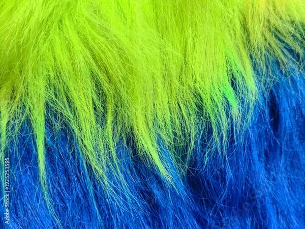 Obraz colorful feathers background