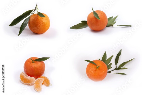 Fototapeta Tangerines