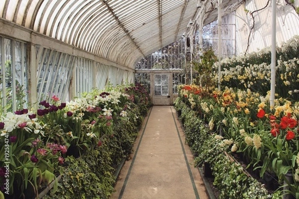 Obraz greenhouse