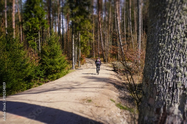 Obraz tilt shift orientation rally in the forest (bicycle)