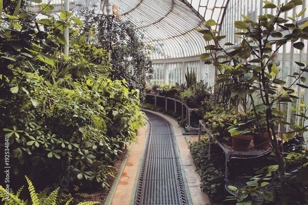 Obraz greenhouse