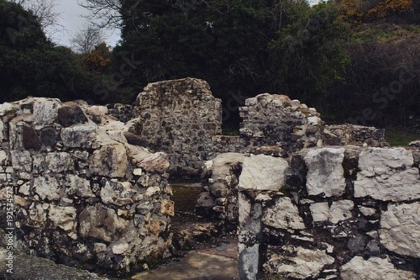 Obraz ruins