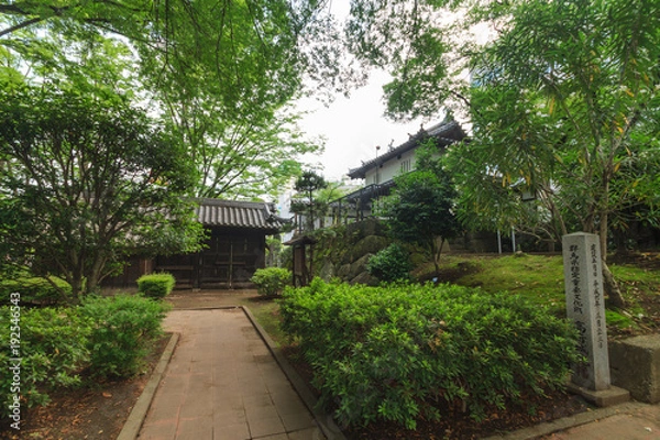 Fototapeta 夏の高崎城の風景