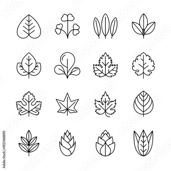 Obraz Leaf Line Icon Set