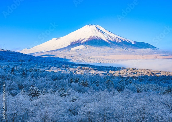 Fototapeta 山中湖から富士山と雪景色