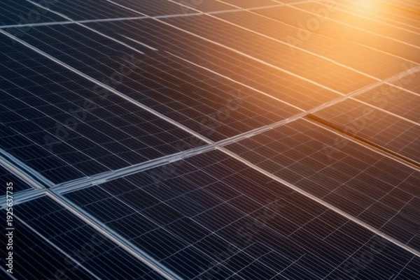 Obraz Solar Panels Under Warm Sunlight
