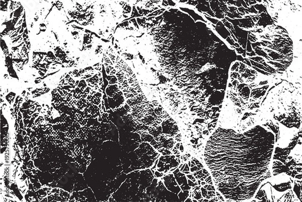 Obraz High Contrast Black and White Abstract Grunge Texture Background