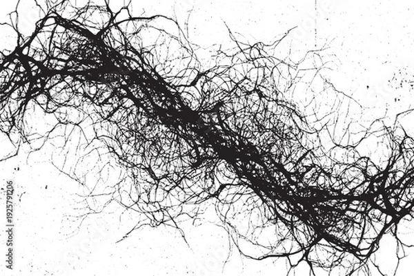 Obraz Abstract Black Branch Network on White Background