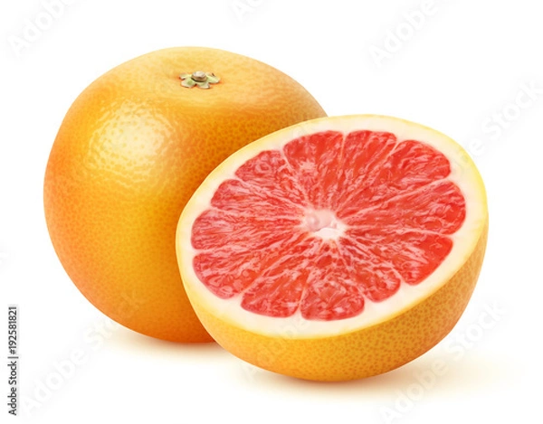 Obraz Wektor grejpfruta 4