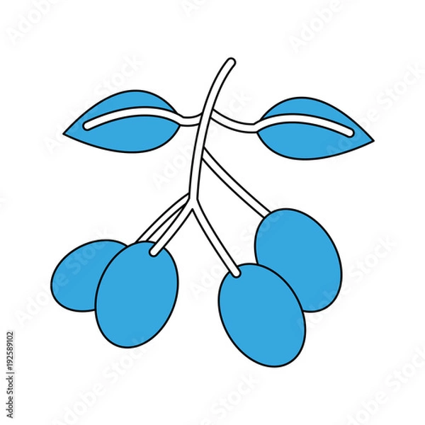 Fototapeta Coffee beans symbol icon vector illustration graphic design