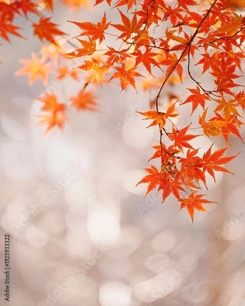 Obraz 秋楽しい紅葉狩り