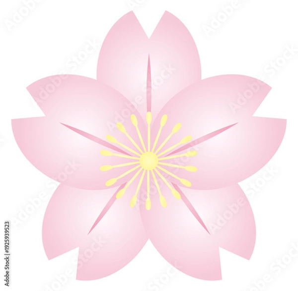 Obraz 春の季節の桜の花、花びらをピンクや黄色のグラデーションを付けてベクターのイラストでデザインしたグラフィック素材