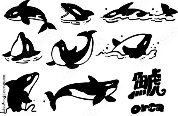 Obraz シャチの線画　シンプルイラストセット