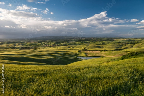 Obraz Tuscan countryside