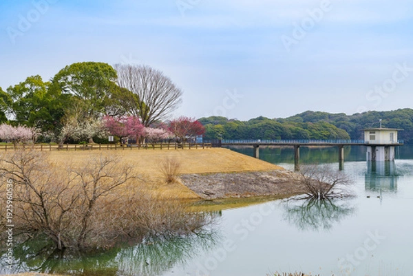 Obraz 春の佐布里池（愛知県知多市）